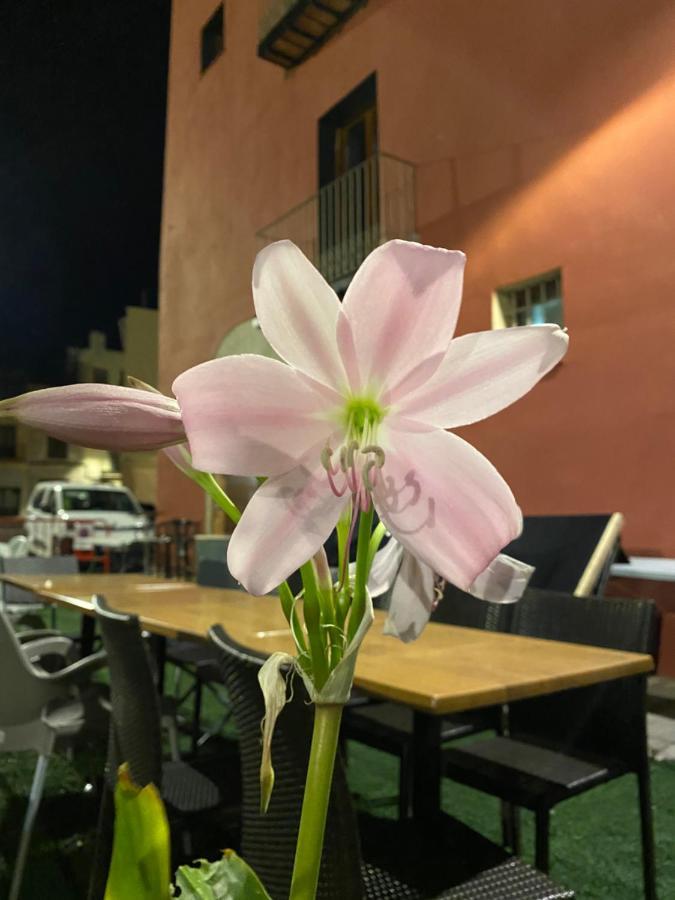 Restaurant & Rooms Cabrit Sant Mateu Exteriér fotografie