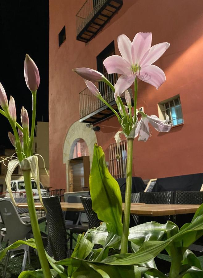 Restaurant & Rooms Cabrit Sant Mateu Exteriér fotografie